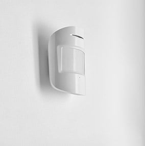 AdobeStock_216104825 cropped
